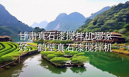 甘肅真石漆攪拌機(jī)哪家好，鶴壁真石漆攪拌機(jī)