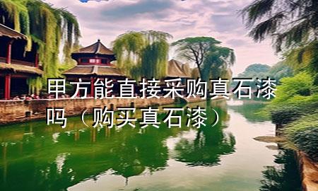 甲方能直接采購(gòu)真石漆嗎（購(gòu)買真石漆）