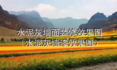 水泥灰墻面裝修效果圖（水泥灰墻漆效果圖）