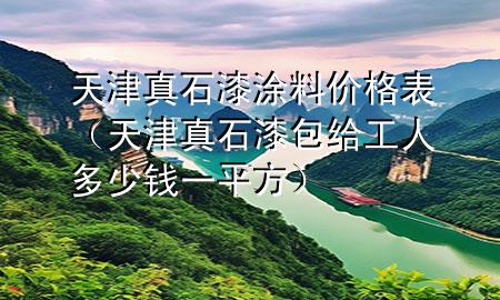 天津真石漆涂料價格表(天津真石漆包給工人多少錢一平方)