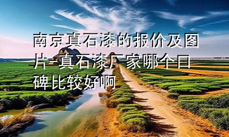 南京真石漆的報(bào)價(jià)及圖片-真石漆廠家哪個(gè)口碑比較好啊