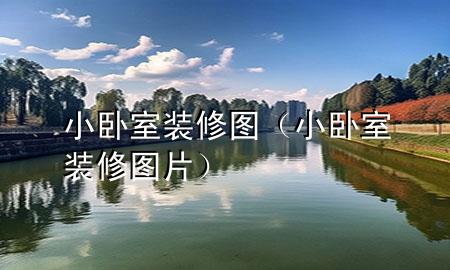 小臥室裝修圖（小臥室裝修圖片）