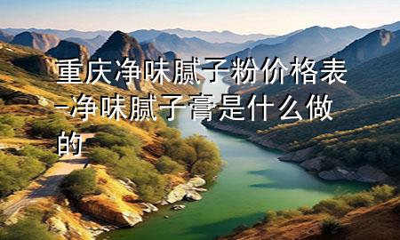 重慶凈味膩子粉價格表-凈味膩子膏是什么做的
