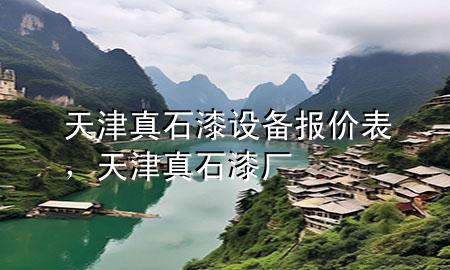 天津真石漆設(shè)備報(bào)價(jià)表，天津真石漆廠