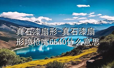 真石漆扇形-真石漆扇形噴槍嘴6540什么意思