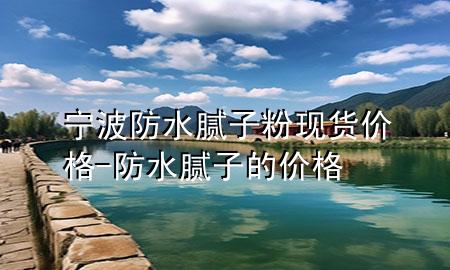 寧波防水膩子粉現(xiàn)貨價格-防水膩子的價格