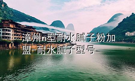 漳州n型耐水膩?zhàn)臃奂用?耐水膩?zhàn)有吞?hào)