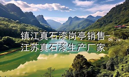 鎮(zhèn)江真石漆崗?fù)やN售-江蘇真石漆生產(chǎn)廠家