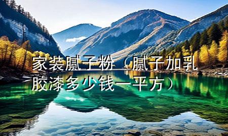家裝膩子粉（膩子加乳膠漆多少錢一平方）