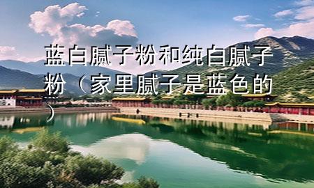 藍白膩子粉和純白膩子粉(家里膩子是藍色的)
