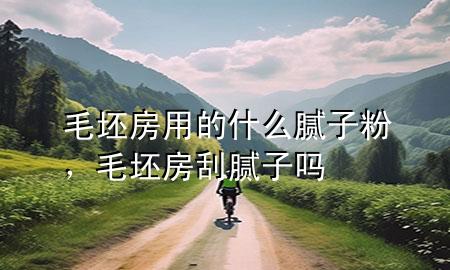 毛坯房用的什么膩子粉，毛坯房刮膩子嗎