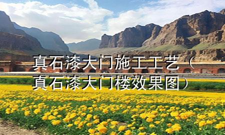 真石漆大門施工工藝(真石漆大門樓效果圖)