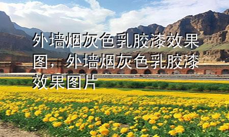 外墻煙灰色乳膠漆效果圖，外墻煙灰色乳膠漆效果圖片