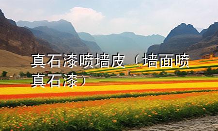 真石漆噴墻皮(墻面噴真石漆)