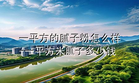 一平方的膩子粉怎么樣-一平方米膩子多少錢