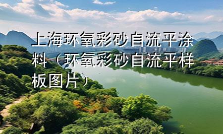 上海環(huán)氧彩砂自流平涂料（環(huán)氧彩砂自流平樣板圖片）
