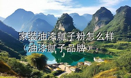 家裝油漆膩子粉怎么樣(油漆膩子品牌)