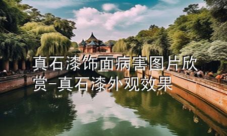 真石漆飾面病害圖片欣賞-真石漆外觀效果