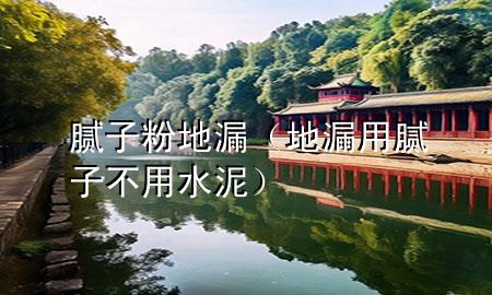 膩子粉 地漏（地漏用膩子不用水泥）