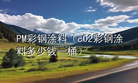 PM彩鋼涂料(c02彩鋼涂料多少錢一桶)