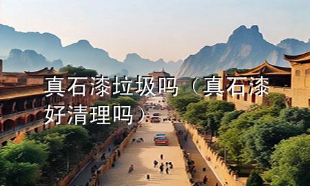 真石漆垃圾嗎(真石漆好清理嗎)