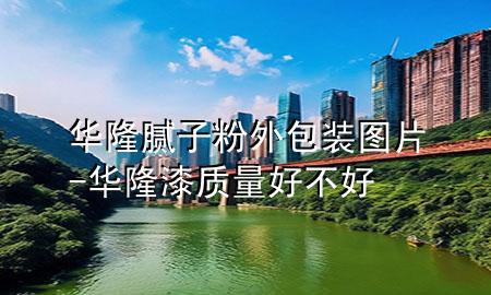 華隆膩?zhàn)臃弁獍b圖片-華隆漆質(zhì)量好不好