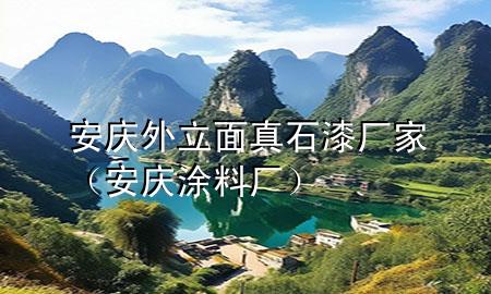 安慶外立面真石漆廠家(安慶涂料廠)