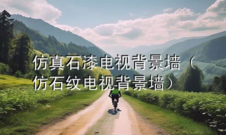 仿真石漆電視背景墻(仿石紋電視背景墻)