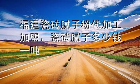 福建瓷磚膩子粉代加工加盟，瓷磚膩子多少錢一噸