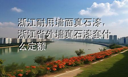 浙江耐用墻面真石漆,浙江省外墻真石漆套什么定額