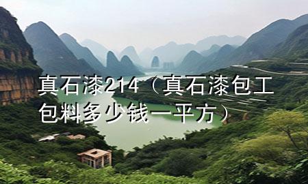 真石漆214(真石漆包工包料多少錢一平方)