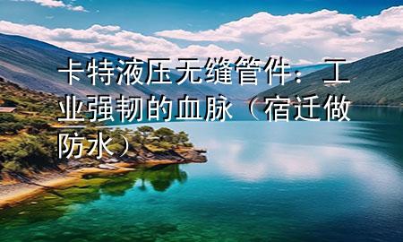 卡特液壓無縫管件：工業(yè)強韌的血脈（宿遷做防水）