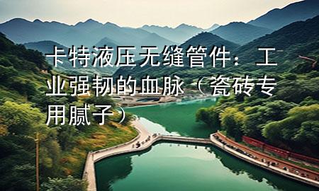卡特液壓無縫管件：工業(yè)強韌的血脈（瓷磚專用膩子）