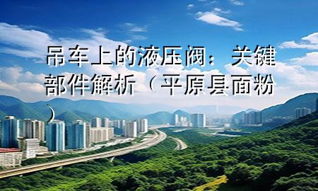 吊車上的液壓閥：關(guān)鍵部件解析（平原縣面粉）