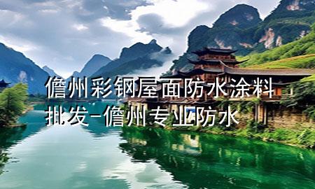 儋州彩鋼屋面防水涂料批發(fā)-儋州專業(yè)防水