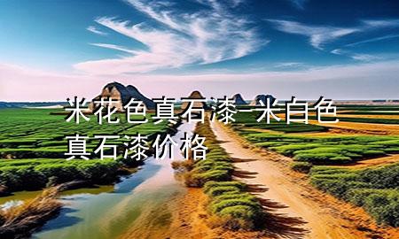 米花色真石漆-米白色真石漆價格