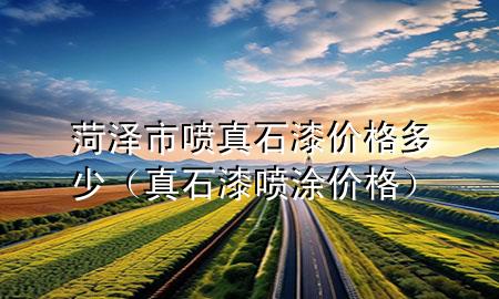 菏澤市噴真石漆價格多少(真石漆噴涂價格)