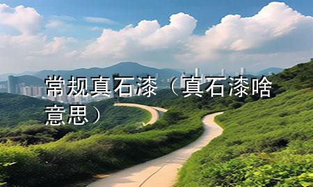 常規(guī)真石漆（真石漆啥意思）