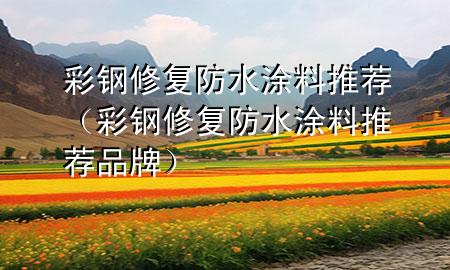 彩鋼修復(fù)防水涂料推薦(彩鋼修復(fù)防水涂料推薦品牌)