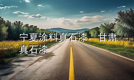 寧夏涂料真石漆，甘肅真石漆