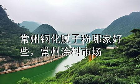 常州鋼化膩子粉哪家好些，常州涂料市場