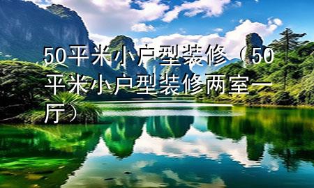 50平米小戶型裝修(50平米小戶型裝修兩室一廳)