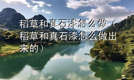 稻草和真石漆怎么做(稻草和真石漆怎么做出來的)