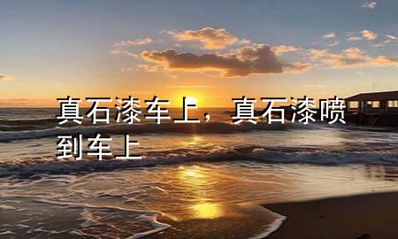 真石漆車上，真石漆噴到車上