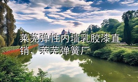 萊蕪彈性內(nèi)墻乳膠漆直銷，萊蕪彈簧廠
