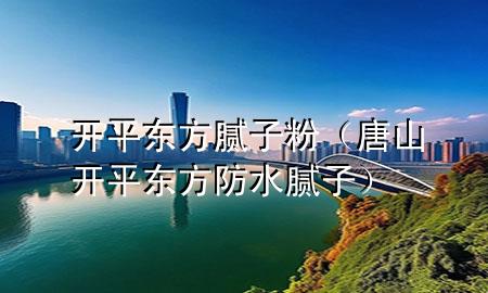 開平東方膩子粉（唐山開平東方防水膩子）