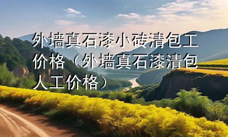 外墻真石漆小磚清包工價格(外墻真石漆清包人工價格)