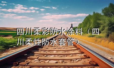 四川柔彩防水涂料(四川柔性防水套管)