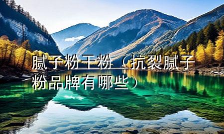 膩子粉干粉（抗裂膩子粉品牌有哪些）