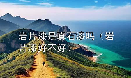巖片漆是真石漆嗎(巖片漆好不好)